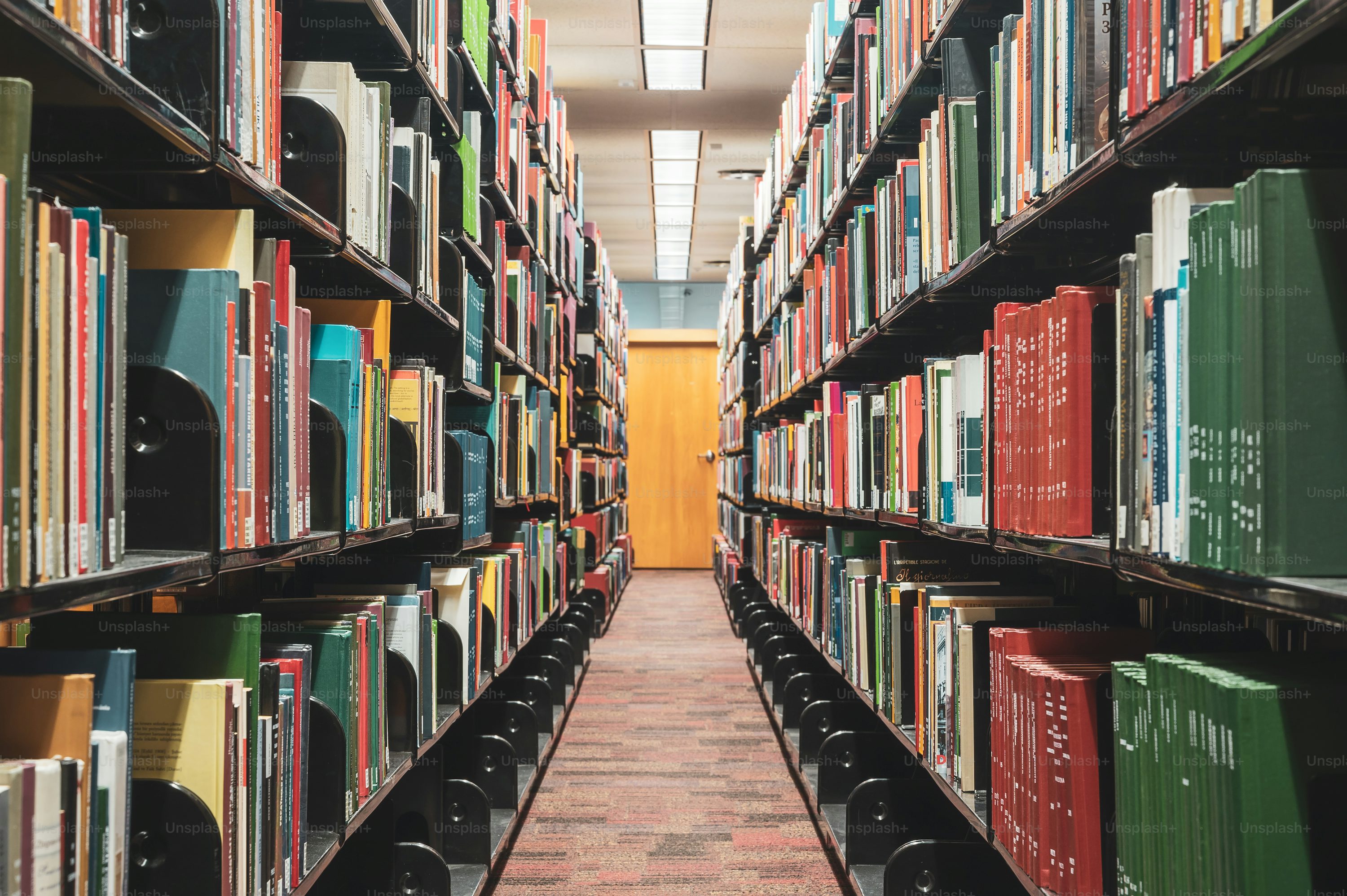 Biblioteca